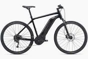 Giant Roam E+ GTS