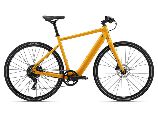 Momentum Voya E+  Medium