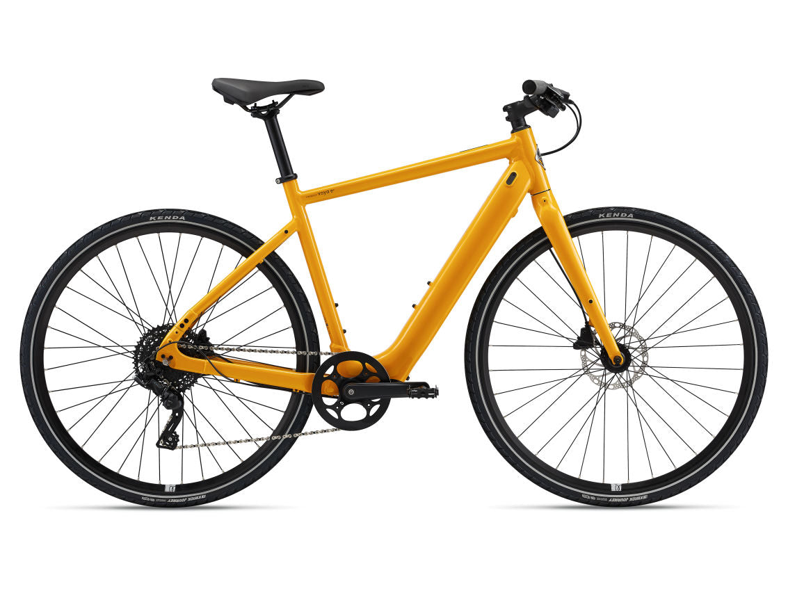 Momentum Voya E+  Medium