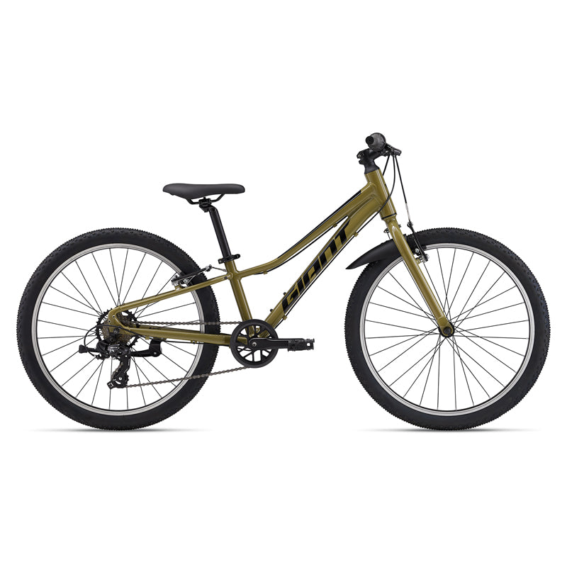 Giant Talon 24 Lite