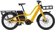 MOMENTUM PakYak E+ Cargo E Bike